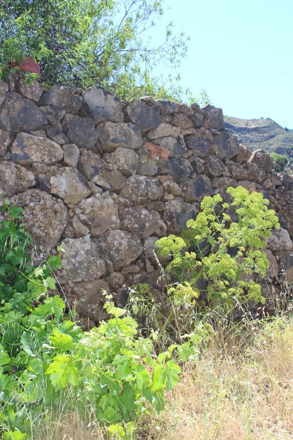 Casa-Finca El Maipez De Tejeda Las Palmas de Gran Canaria Exterior foto