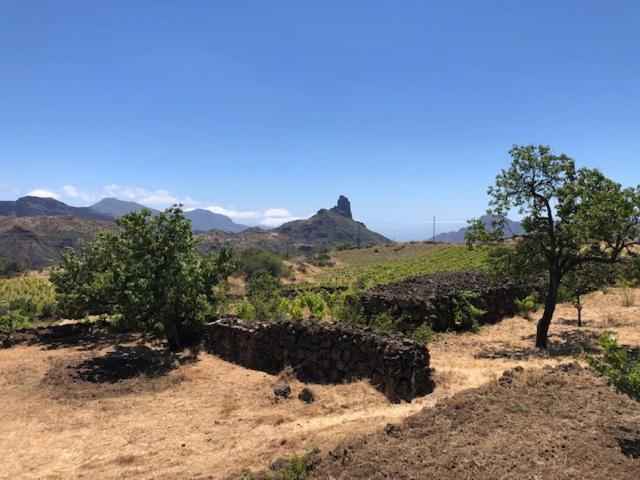 Casa-Finca El Maipez De Tejeda Las Palmas de Gran Canaria Exterior foto